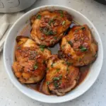 Instant Pot Honey Garlic Chicken