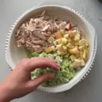 Waldorf Chicken Salad